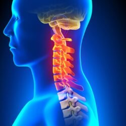 coluna cervical