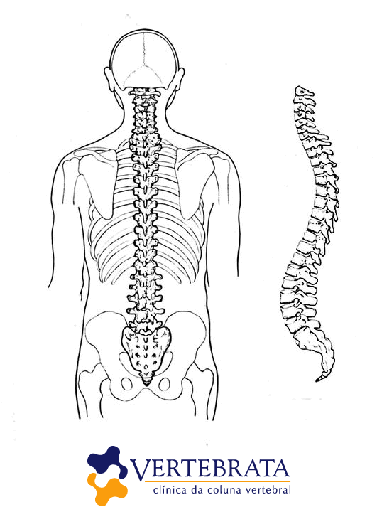 cirurgia da coluna