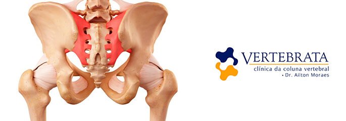 Anatomia da Coluna: Região Sacrococcígea