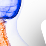 Anatomia da coluna: Região cervical
