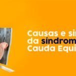 Causas e sintomas da síndrome de Cauda Equina