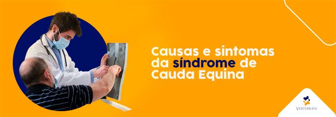 Causas e sintomas da síndrome de Cauda Equina