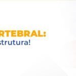 Estrutura da coluna vertebral